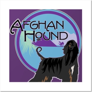 Afghan Hound Posters and Art